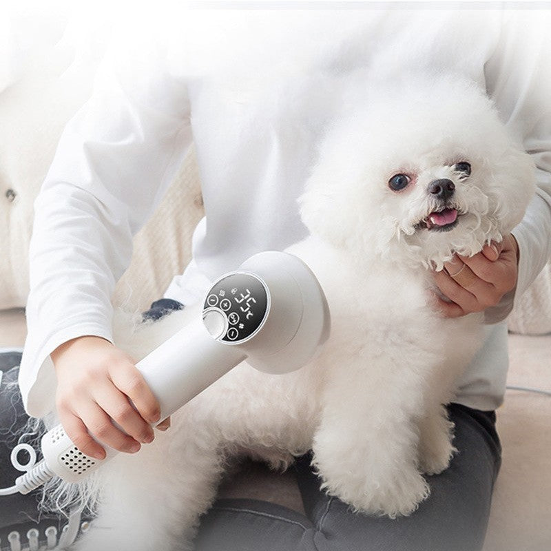 Smart Pet Hair Dryer Dog and Cats Golden Retriever Cat Grooming Hairdressing Blow
